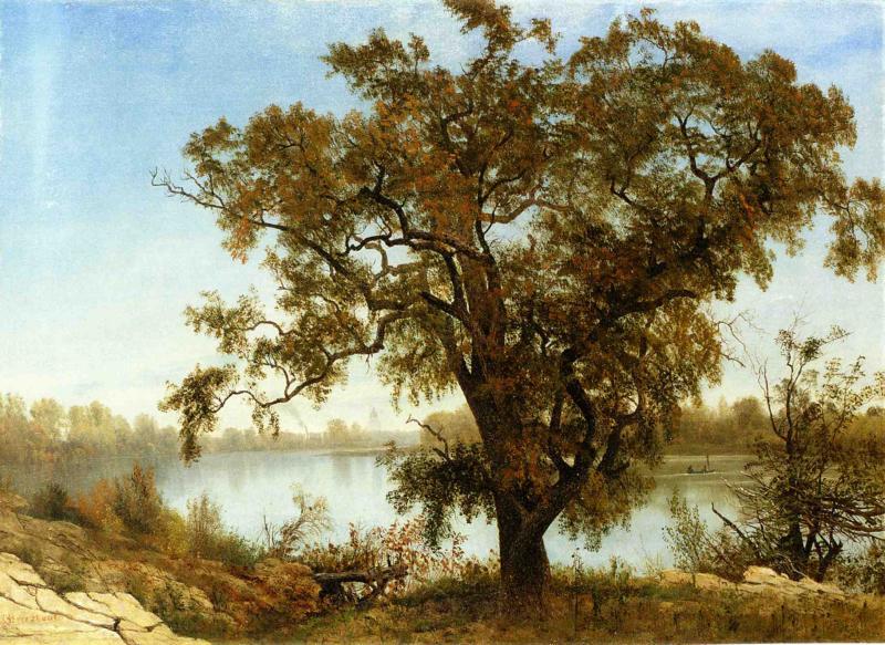 Albert Bierstadt A View From Sacramento Spain oil painting art